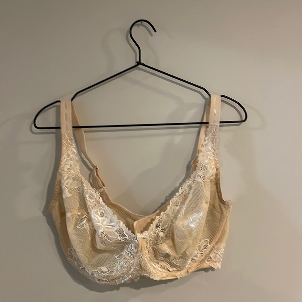 Paramour Bra - image 1